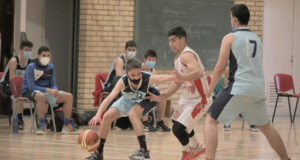 Baloncesto Arenas