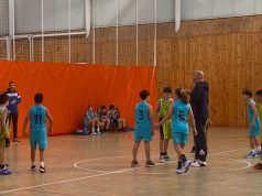 Baloncesto Arenas