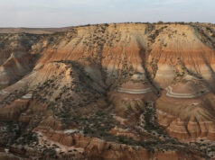 Bardenas