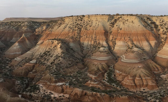 Bardenas