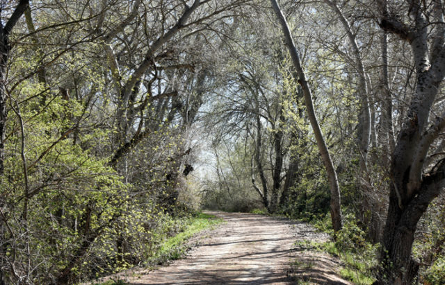 Los alrededores de Buñuel ofrecen parajes tan sugerentes como este