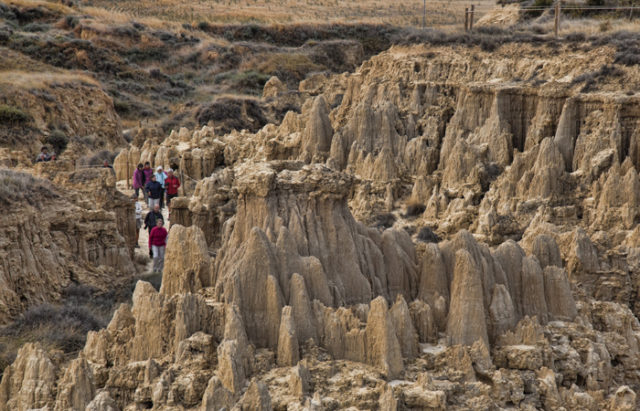 Los municipios de la Comarca de las Cinco Villas conjugan historia y naturaleza, como los Aguarales de Valpalmas