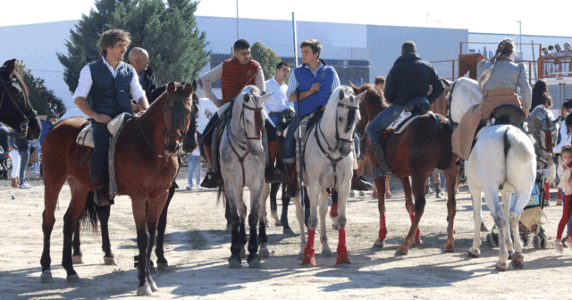 Feria del Caballo