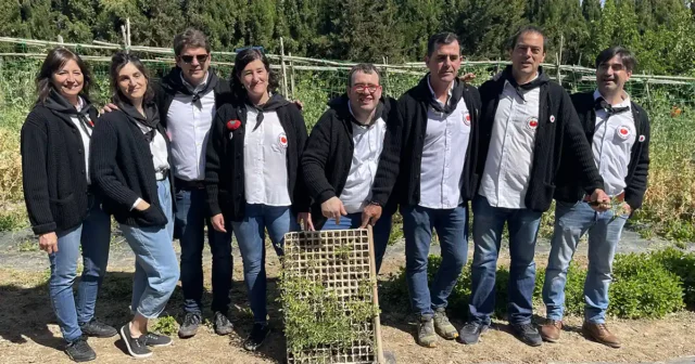 presentación de la cofradía del tomate feo de tudela