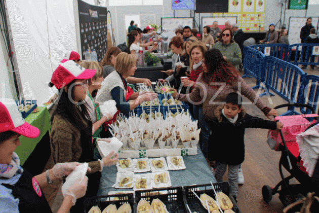 Fiesta de la Verdura de Tudela