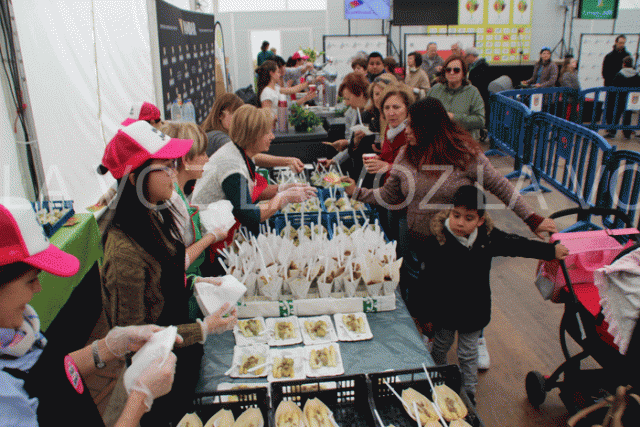 Fiesta de la Verdura de Tudela