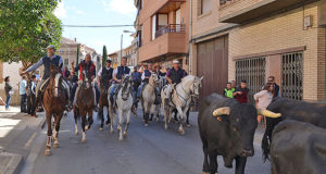 Trashumancia Corella 2017