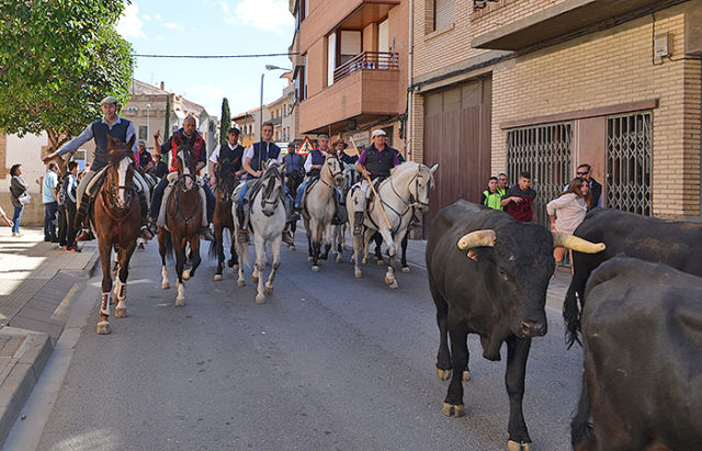 Trashumancia Corella 2017