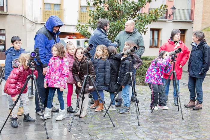 Bienvenida Cigüeñas Tudela