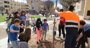 Día del Árbol