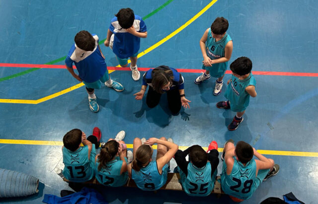 Baloncesto Arenas