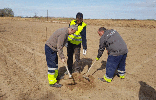 Fustiñana producirá sus propias nueces